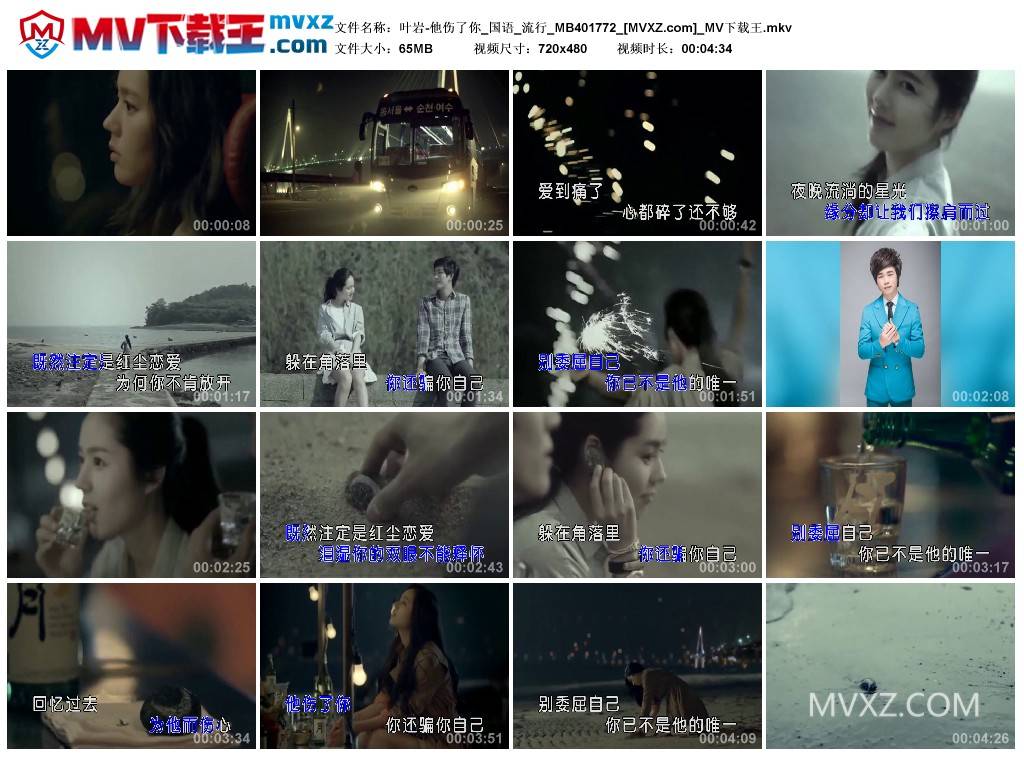 叶岩-他伤了你_国语_流行_MB401772